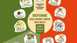 Was gehört hinein