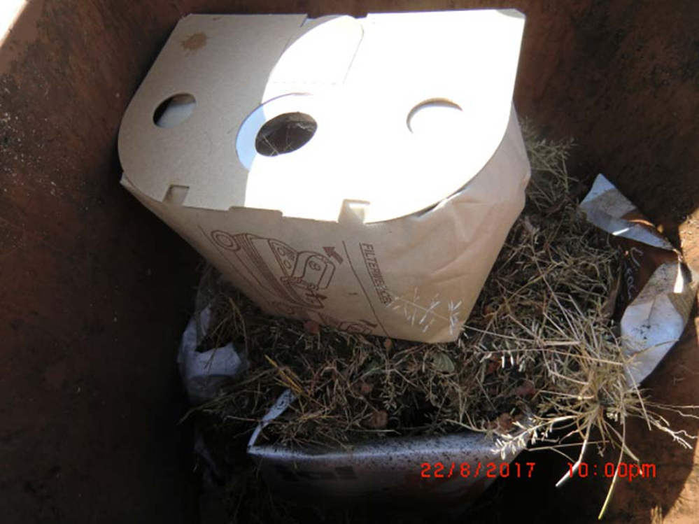 Gras in Tonne
