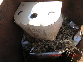 Gras in Tonne