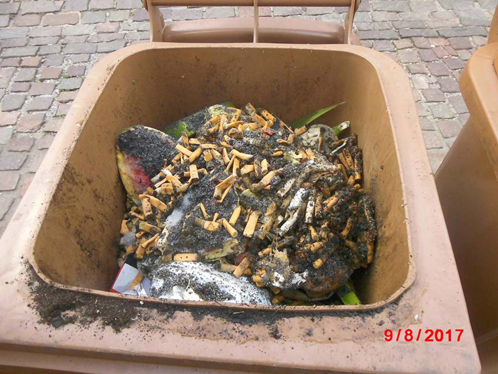 Zigaretten in Biomüll