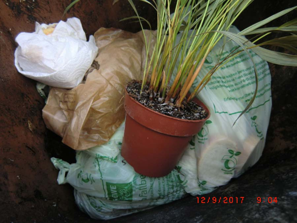 Plastik in Bio