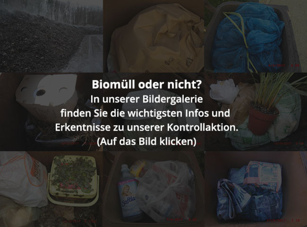 Titelbild-Bildergalerie